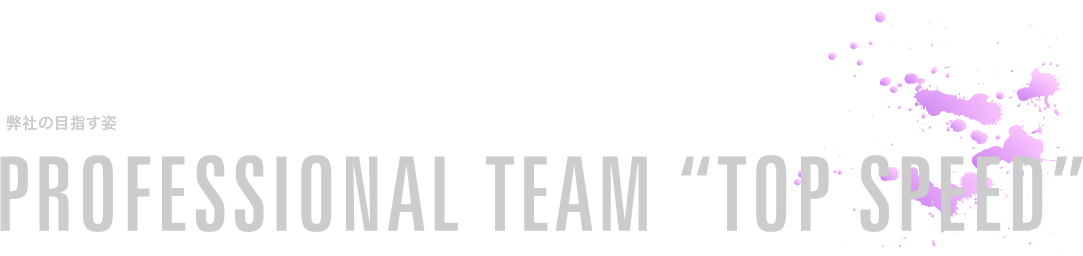 PROFESSIONAL TEAM TOP SPEED