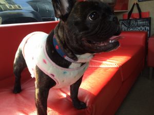 %e5%86%99%e7%9c%9f-1